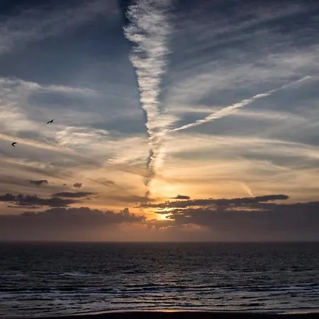 Sterflat 219 Apartmán Egmond aan Zee