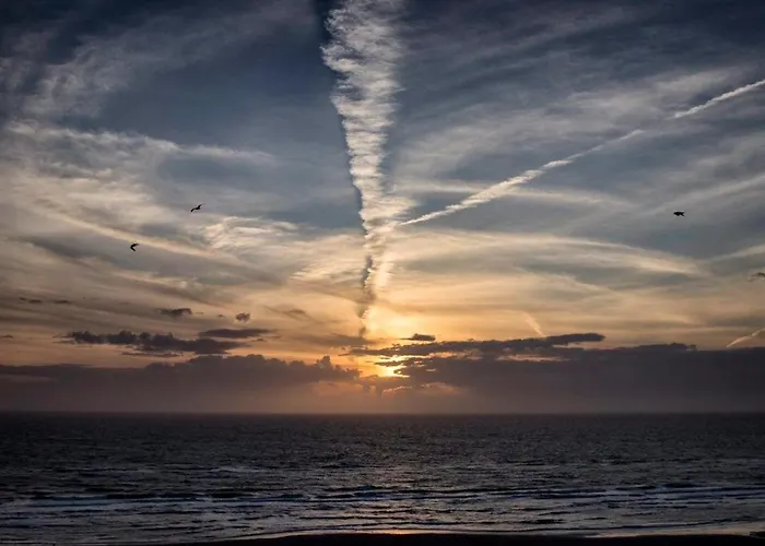 Sterflat 219 Daire Egmond aan Zee